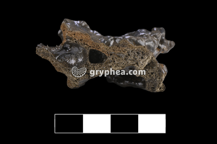 Téphra (Islande, émission de Mai 2021) - gryphea.com